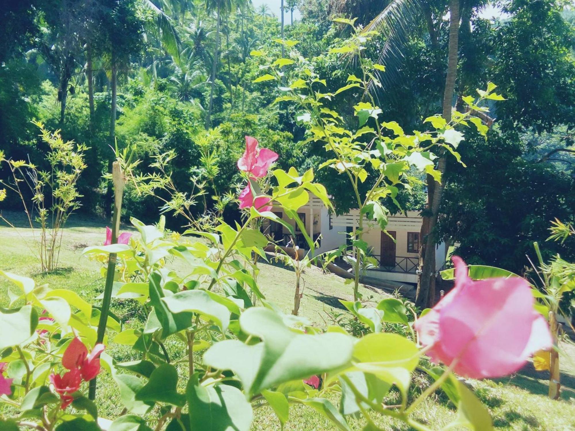 Mali Samui Resort Ламаи-Бич Экстерьер фото